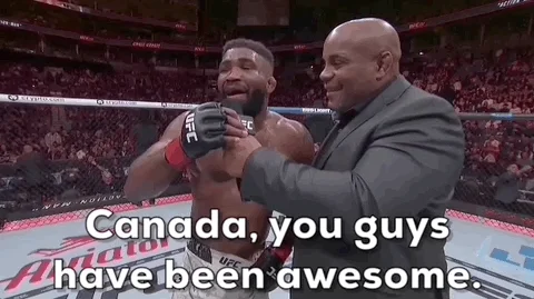 Awesome Mixed Martial Arts GIF