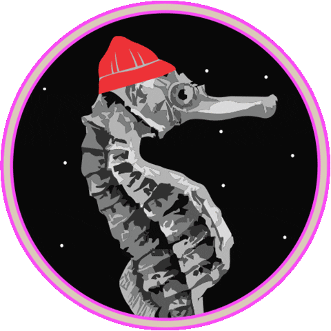 Ola Estudio Sticker