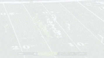 Nfl GIF