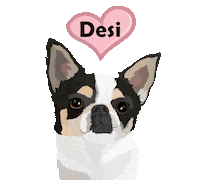 Dog Pet Sticker by Watertown Humane Society