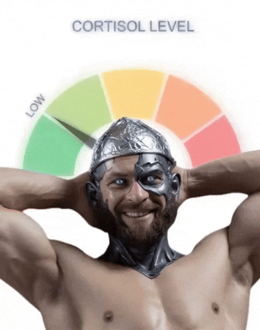Low Cortisol GIF