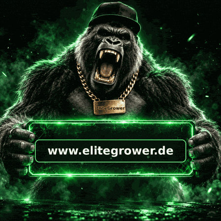 Power Wow GIF by EliteGrower