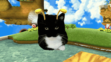 Flying Tuxedo Cat GIF