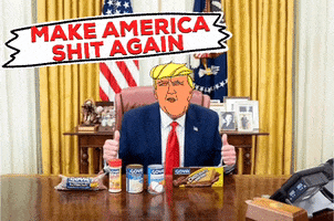 Donald Trump Biden 2020 GIF by TacosAllDay