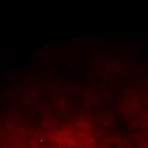 Mittelrhein Phoenix GIF