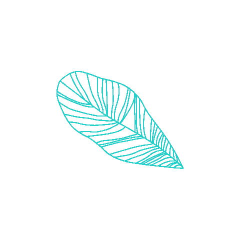 Leaf Sticker