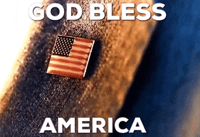 American Flag America GIF by Markpain