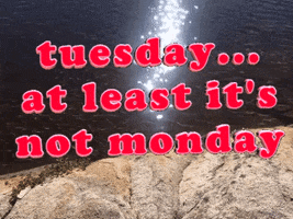 Tuesday Morning GIF by Justin