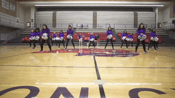 Dance Team GIF by Linfield College