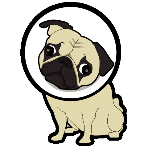 Dog Pug Sticker by Revealed Recordings
