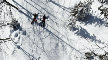 Fun Sledding GIF by Jungfrau Region