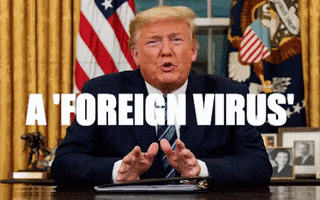 Sick Trump GIF by THEOTHERCOLORS
