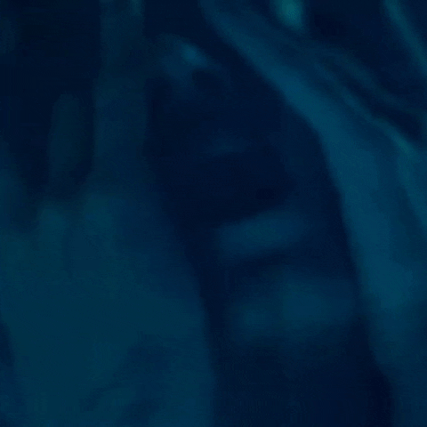 Belong To The World GIF by The Weeknd