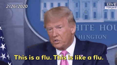 giphy.gif?cid=9b38fe91y4siasir4mv1m9ro7n