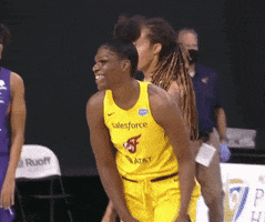 Happy Lets Go GIF by Indiana Fever