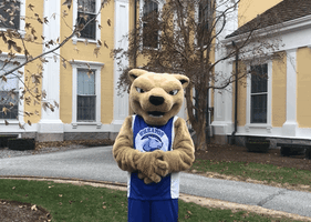 college mascot GIF by Wheaton College (MA)
