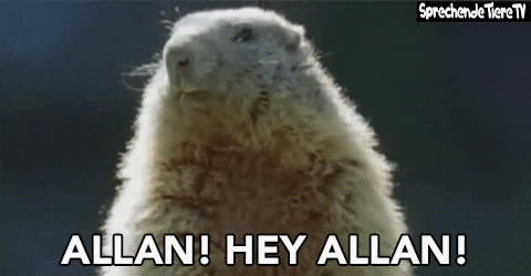 Alan Gifs Get The Best Gif On Giphy