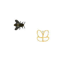 New Post Bees Sticker by imkerij Beesboss