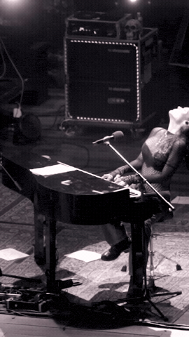 GIF by Beth Hart