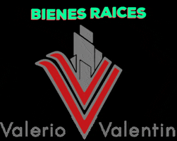 Valerio Valentin GIF