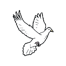 Vogel Taube Sticker by Unter freiem Himmel