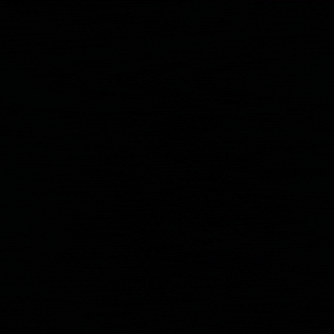 Pin Fr GIF
