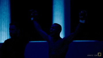 mma fighters GIF by Karate Combat