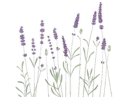 Source: www.nzrt.com