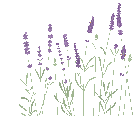 Honey Bee Vacation Sticker by Nazaret Escobedo