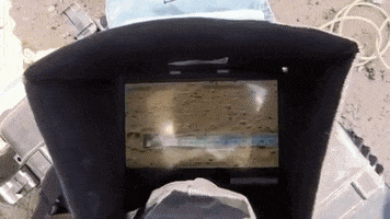 Ants GIF