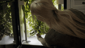GroPod GIF