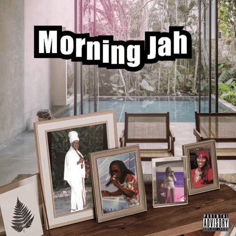 Morning Jah GIF by Allnewshit