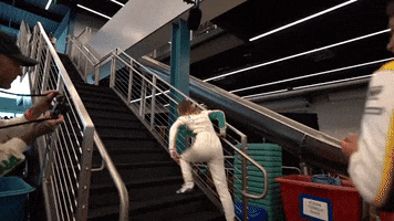 Going Up GIF by W Series