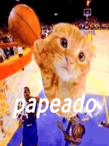 Papeado GIF