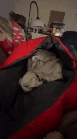 Camping GIF