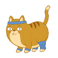 Cat Fitness Sticker by Share It Again for iOS & Android, GIPHY