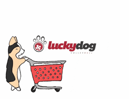 Lucky Dog Shopping GIF by Luckydog Volleyball
