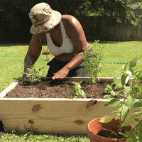 Queer Planting GIF by SUPA FLOWA