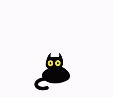 justAen dance cat wiggle blackcat GIF