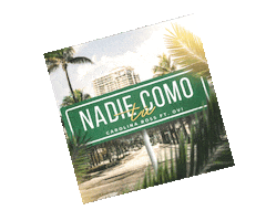 Ovi Sticker by Musika Ink