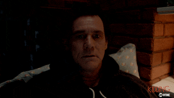 Season 2 Episode 3 GIF by Showtime