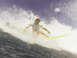 Surf Surfing GIF by Beastie Boys