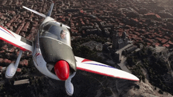 Dennis Flightsimulator GIF by Rocket Beans TV