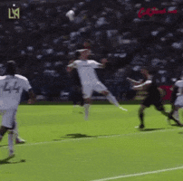 Mls GIF
