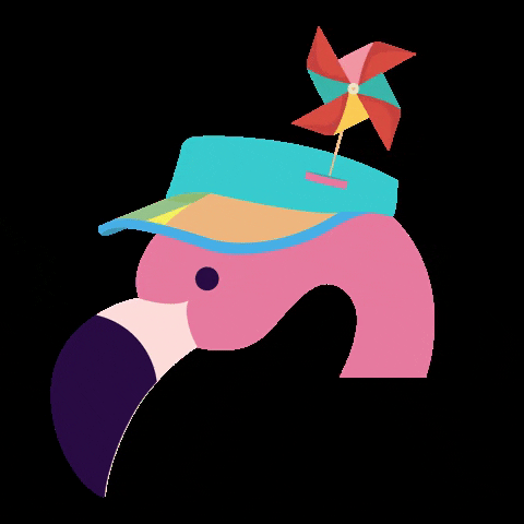 Flamingo GIF