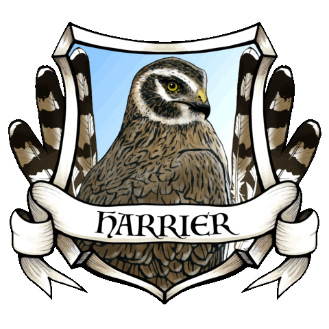 Boise State Honors College Sticker