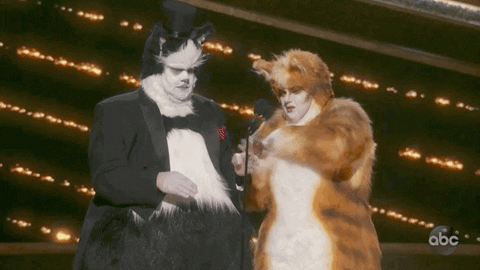 James Corden Cats GIF by The Academy Awards - Find & Share on GIPHY