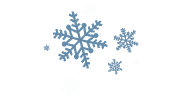 Witholys Winter Sticker