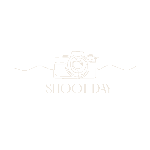 Camera Shoot Day Sticker by Aurora Vita