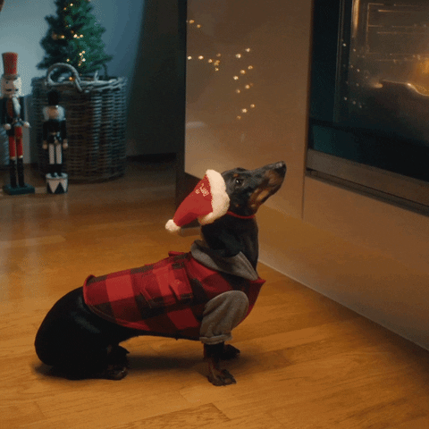 Xmass GIFs - Find & Share on GIPHY